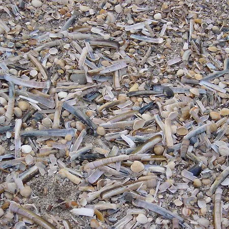 Haus Nordseeresidenz 13 *